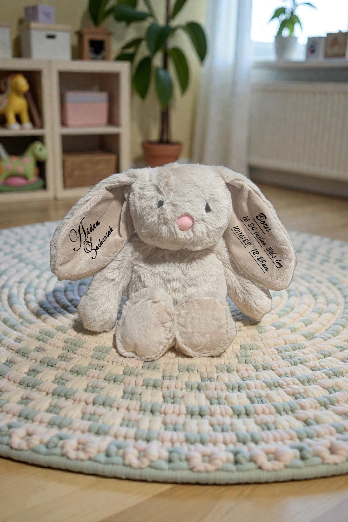 Plush bunny with personalized birth stats on the ears and toy on a round, braided rug in a room with a bookshelf and plants.